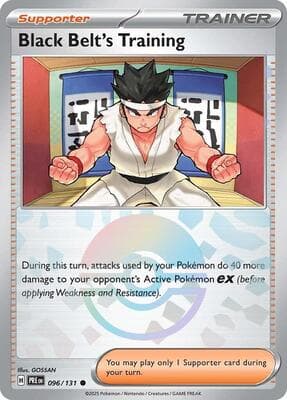 Black Belt's Training · Poke Ball Pattern