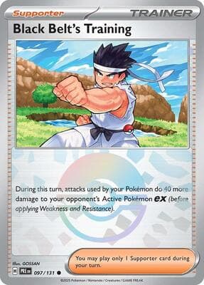 Black Belt's Training · Poke Ball Pattern