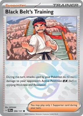 Black Belt's Training · Poke Ball Pattern