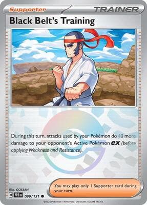 Black Belt's Training · Poke Ball Pattern