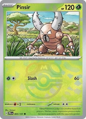Pinsir · Master Ball Pattern
