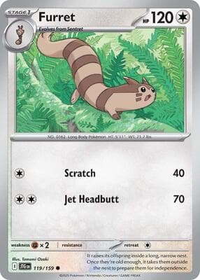 Furret Journey Together #119
