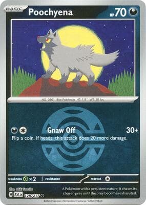 Poochyena · Dusk Ball Ascended Heroes #128