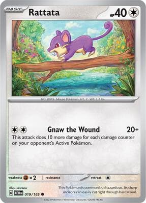 Rattata 151 #19